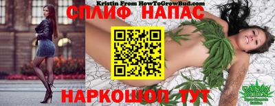 прущая мука Кулебаки